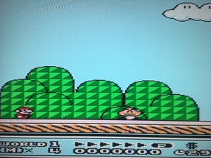 Super Mario Bros. 3 *COMPLETE*
