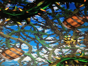 Donkey Kong Country 2 - Bramble Blast # Stickerbrush Symphony