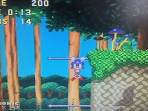 Sonic and Knuckles | Mushroom Hill Zone