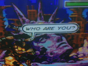 Comix Zone