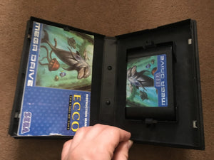 Ecco: the Tides of Time