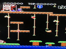 Load image into Gallery viewer, Donkey Kong Classics - Donkey Kong JR.