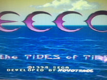 Load image into Gallery viewer, Ecco: the Tides of Time
