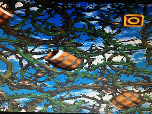 Donkey Kong Country 2: Diddy’s Kong Quest