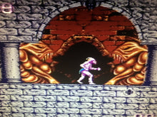 Load image into Gallery viewer, Shadow of the Beast