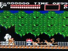Load image into Gallery viewer, Castlevania