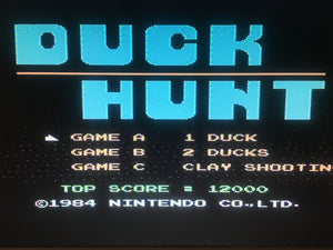 Super Mario Bros. and Duck Hunt