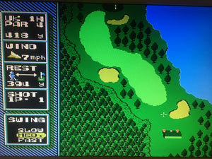 NES OPEN