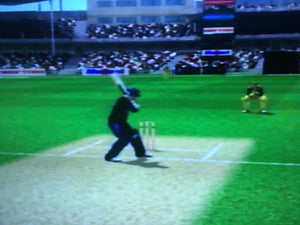 Brian Lara International Cricket 2005