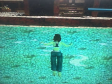 Load image into Gallery viewer, Tomb Raider