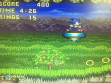 Load image into Gallery viewer, Sonic 3 | Marble Garden