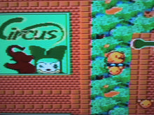 Load image into Gallery viewer, The New Zealand Story *MASTER System*
