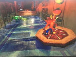 Crash Bandicoot: Warped - Tomb Wader