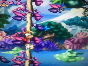 Rayman - Pink Plant Woods