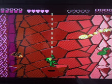 Load image into Gallery viewer, Battletoads - Wookie Hole
