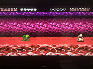 Battletoads - Turbo Tunnel