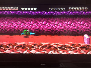Battletoads - Turbo Tunnel (THAT Scooter Level)