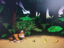 Load image into Gallery viewer, Donkey Kong Country