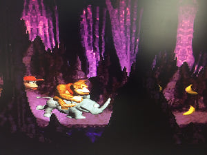 Donkey Kong Country - Jungle Hijinks