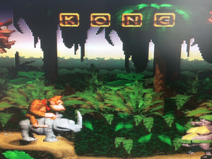 Donkey Kong Country K-O-N-G