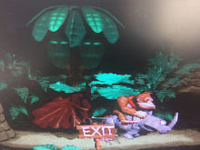 Load image into Gallery viewer, Donkey Kong Country - Exit