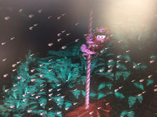 Load image into Gallery viewer, Donkey Kong Country - Ropey Rampage