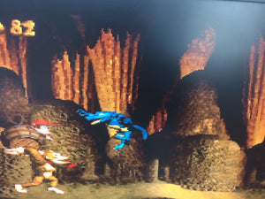Donkey Kong Country - Reptile Rumble