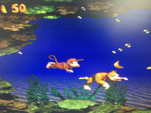 Donkey Kong Country - Coral Capers