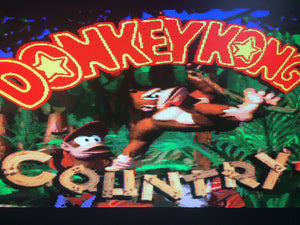 Donkey Kong Country