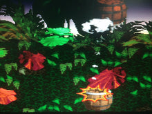 Load image into Gallery viewer, Donkey Kong Country - Barrel Cannon Canyon