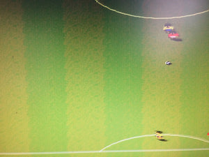 Sensible Soccer