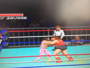 WWF Super Wrestlemania