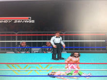 Load image into Gallery viewer, WWF Super Wrestlemania