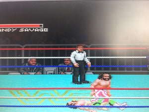 WWF Super Wrestlemania