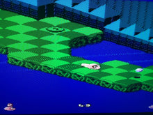 Load image into Gallery viewer, Snake Rattle N Roll