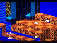 Load image into Gallery viewer, Snake Rattle N Roll