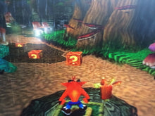 Load image into Gallery viewer, Crash Bandicoot 2 - Turtle Woods