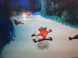 Crash Bandicoot 2 - Bear It
