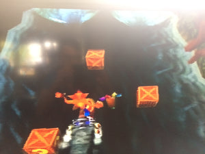 Crash Bandicoot 2 - Plant Food