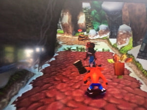 Crash Bandicoot 2 - Bee-Having