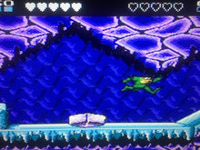 Load image into Gallery viewer, Battletoads