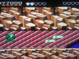 Battletoads - Surf City