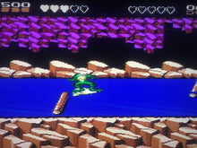 Load image into Gallery viewer, Battletoads - Surf City