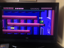 Load image into Gallery viewer, Battletoads - Intruder Excluder