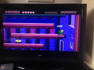 Battletoads - Intruder Excluder