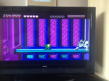 Load image into Gallery viewer, Battletoads - Intruder Excluder (FUN Boss)