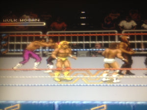 WWF Royal Rumble