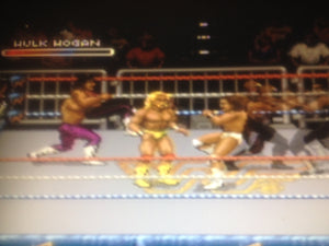 WWF Royal Rumble