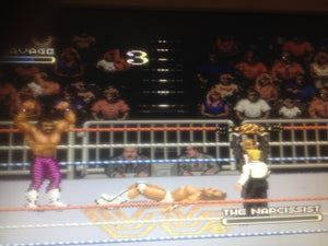 WWF Royal Rumble Tournament Mode w/ WWF Championshio