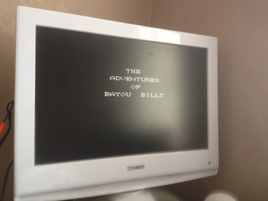 The Adventures of Bayou Billy